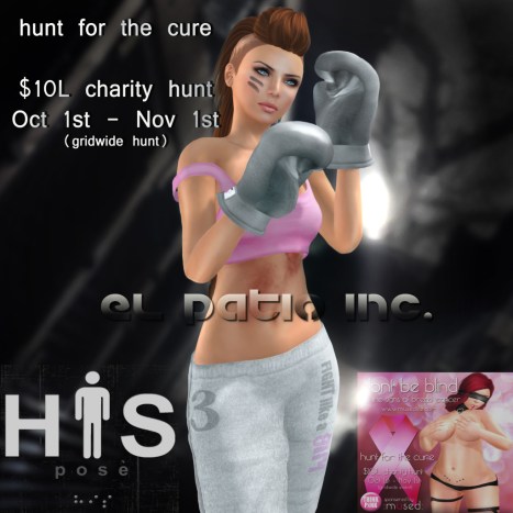 HFTC2 Preview - El Patio Inc.