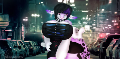 ._{PawsPhotography}_.CaerieShine