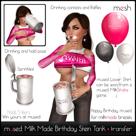 mused-birthday-stein